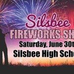 4th of July Fireworks Silsbee