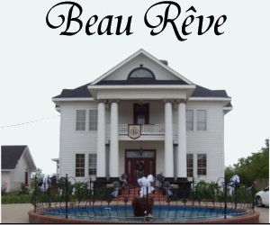 Beau Reve2