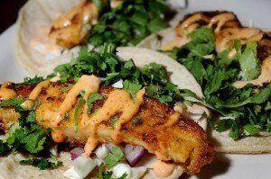 Novrozsky's Fish Tacos