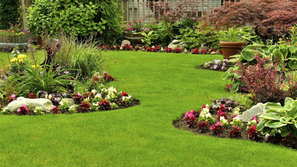 landscaping North Shore TX, irrigation Crosby TX, commercial landscaping Pasadena TX, Baytown lawn care,