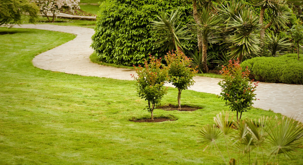 landscaping North Shore TX, irrigation Crosby TX, commercial landscaping Pasadena TX, Baytown lawn care,