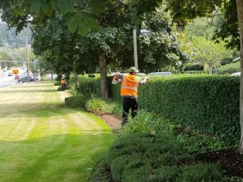 landscaping North Shore TX, irrigation Crosby TX, commercial landscaping Pasadena TX, Baytown lawn care,