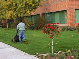 landscaping North Shore TX, irrigation Crosby TX, commercial landscaping Pasadena TX, Baytown lawn care,