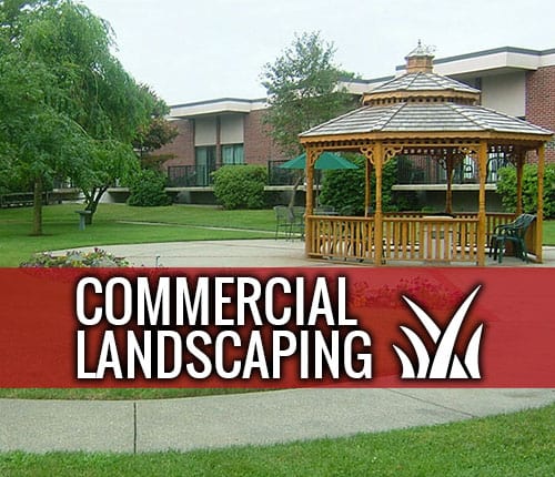 landscaping North Shore TX, irrigation Crosby TX, commercial landscaping Pasadena TX, Baytown lawn care,