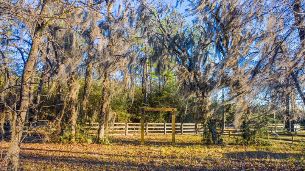 event center Big Thicket, wedding venue Silsbee, East Texas corporate retreat, wedding hall Golden Triangle,