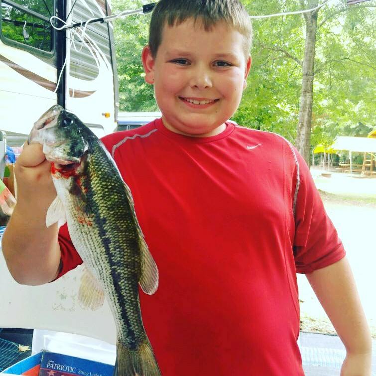 Camping Sam Rayburn, RV sites Sam Rayburn, Sam Rayburn rental cabins,
