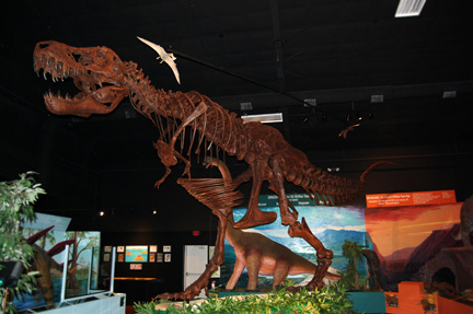 dinosaur museum Lufkin, summer camp Lufkin, spring break Lufkin, birthday parties East Texas,