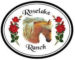 where to stay Nacogdoches, Dude Ranch Texas, B&B Guide East Texas, lodging SFA,