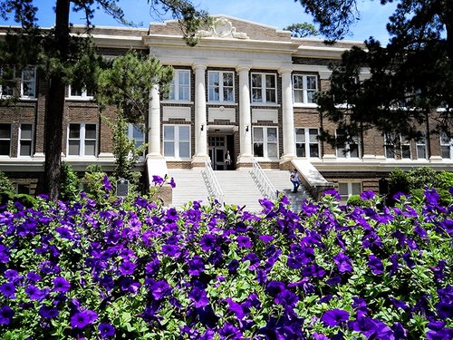 visitor guide SFA university, kids activities Nacogdoches, road trip guide East Texas,